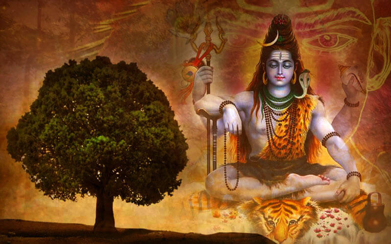 Why-does-Lord-Shiva-Wear-Rudraksha.jpeg